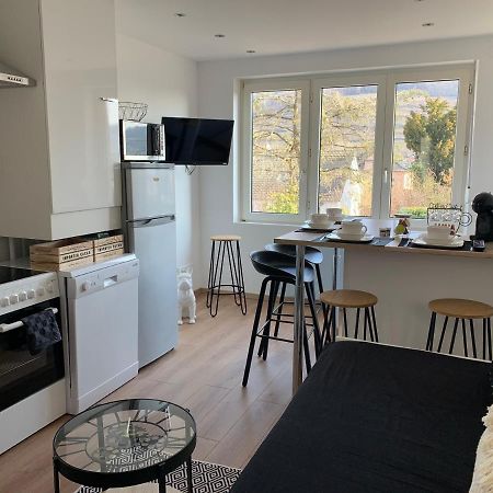 Le Cocon Apartment Guebwiller Exterior photo